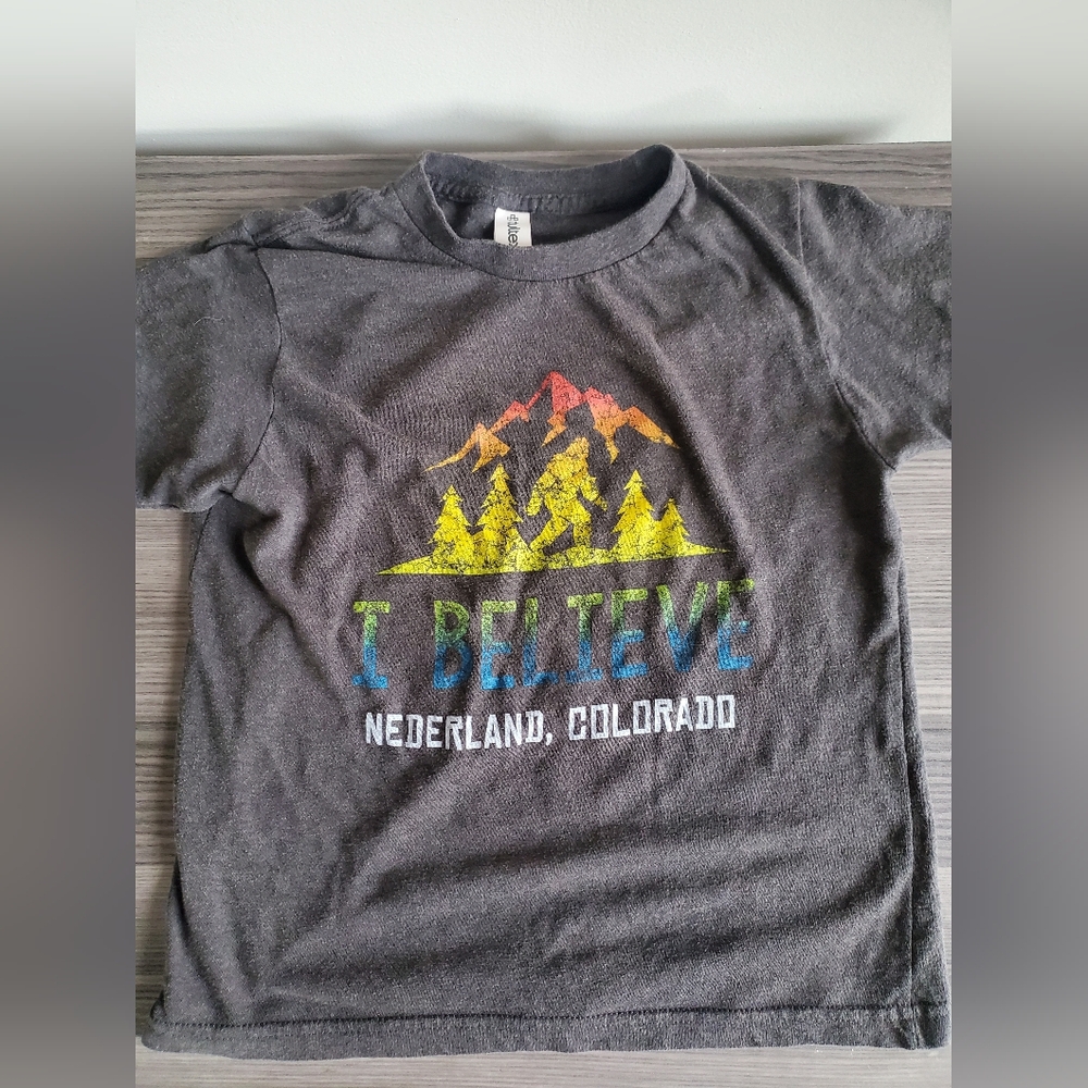 Charcoal Graphic Tee with Mountain Design